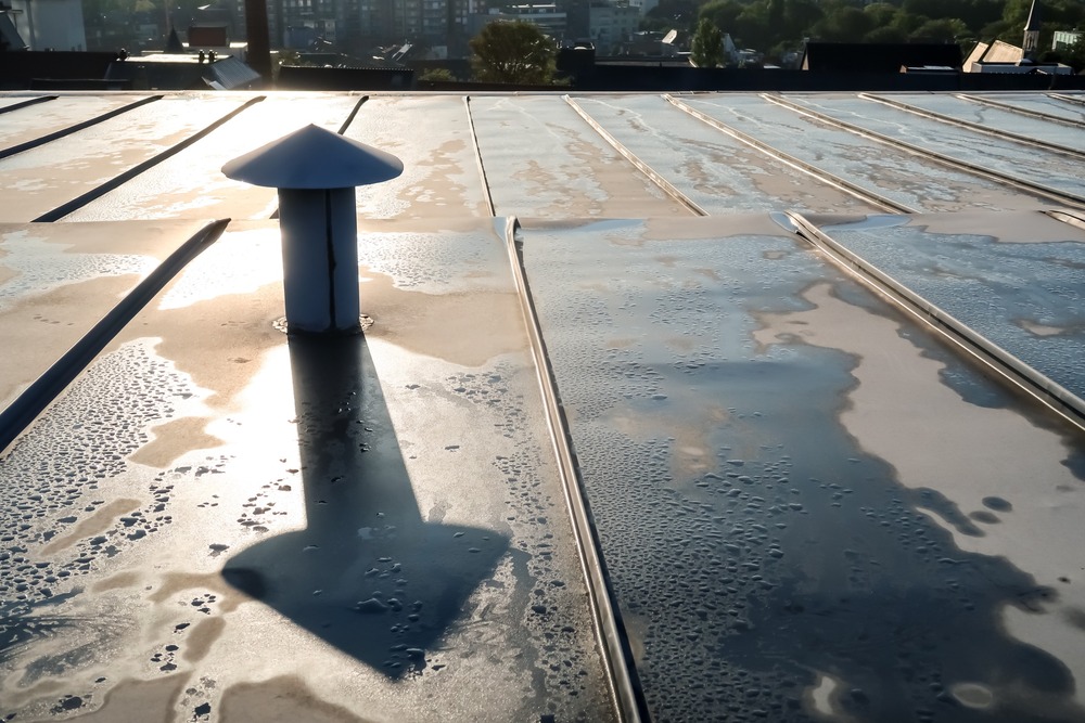 tejado mojado con chimenea